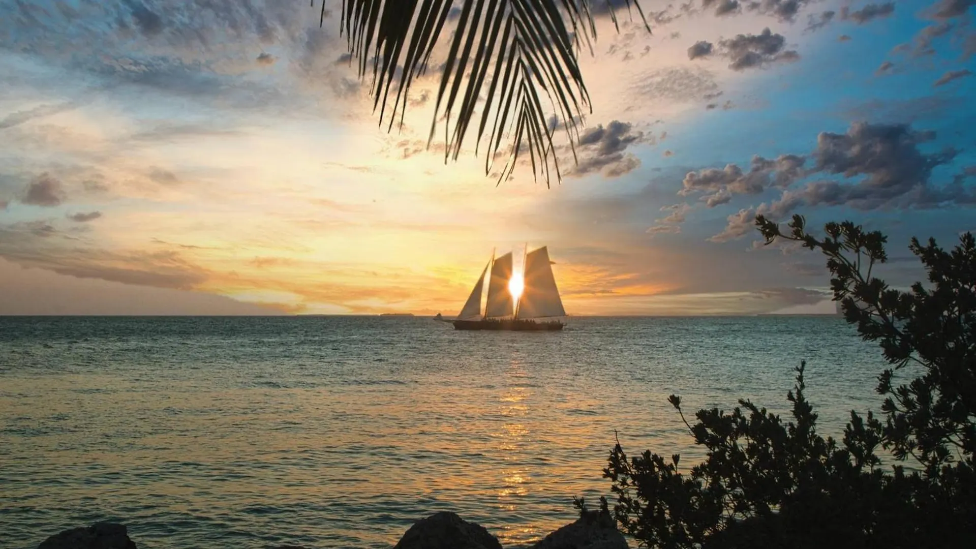 Artist Garden By Avantstay Great Location W Balcony Outdoor Dining Shared Pool Bbq Week Long Stays Key West 0*,